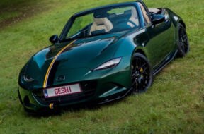 Article_177237_860_575