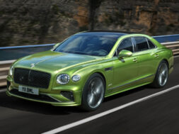 Article_177245_860_575