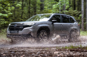 Article_177340_860_575