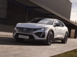 Article_177348_860_575