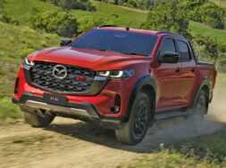 Article_177409_860_575