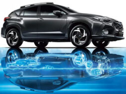 Article_177416_860_575