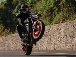 guaranteed-wheelies-for-days
