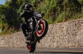 guaranteed-wheelies-for-days