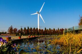 6372271766313124548514937