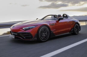 Article_177640_860_575