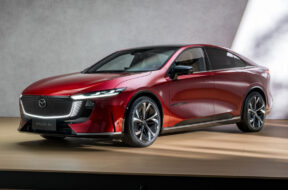 Article_177736_860_575