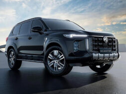 Article_177781_860_575