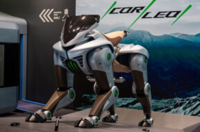 Article_178126_860_575