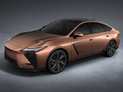 Article_178179_860_575