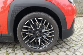 IMG_20250329_074809-1-scaled