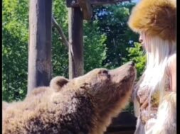 b9b5624d-e0bc-4f0e-8c7e-83f19a461d6b