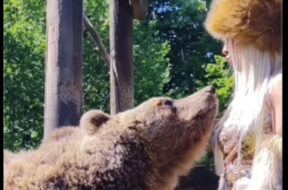 b9b5624d-e0bc-4f0e-8c7e-83f19a461d6b