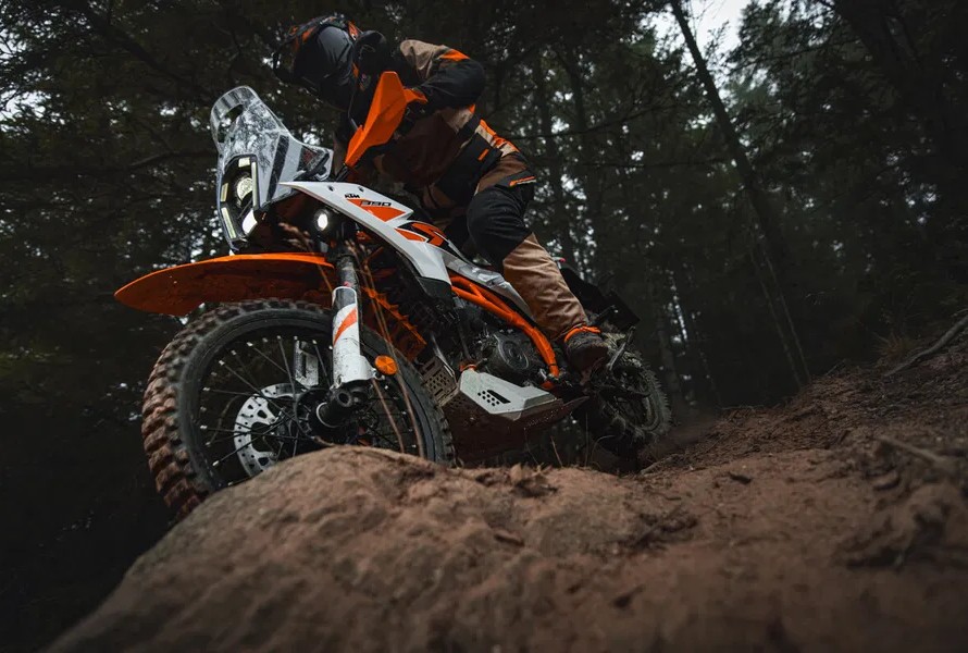 Da li to novi BMW F 450 GS dobija neočekivanog rivala?
