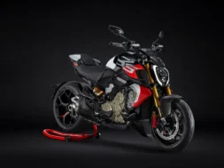 as_19108_cavalletto_remake_uc840000-large