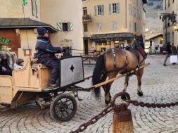 481002116_10236223081581456_6520294597149048419_n