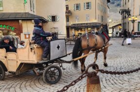 481002116_10236223081581456_6520294597149048419_n