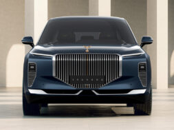 vinfast-lac-hong-800s-8
